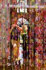 Bunch of Roses [2017] Schiraz | Iran